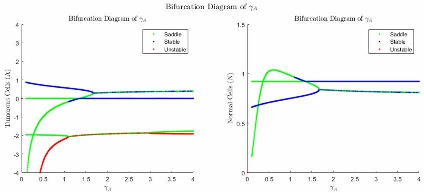 Activation Deactivation Rate Bifurcation