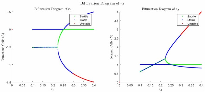 Cancer Cell Influx Rate Bifurcation