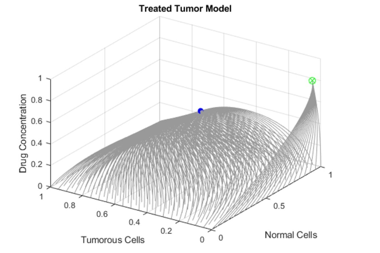 Nonlinear Cancer Treatment Model