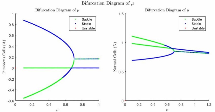 Infusion Rate Bifurcation