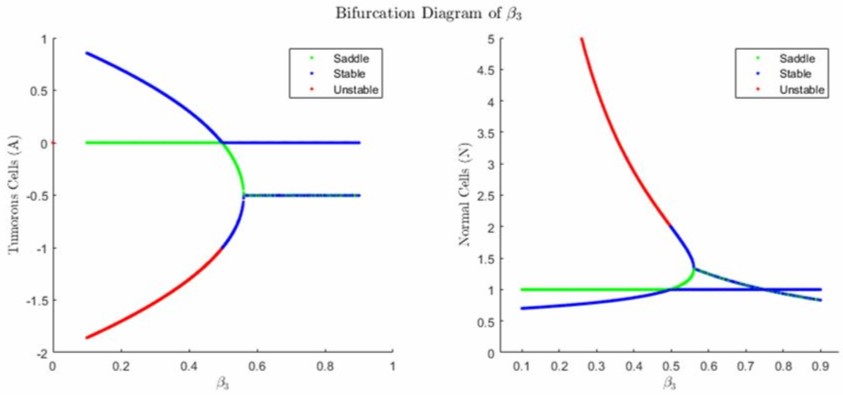 Tissue Interaction Parameter Bifurcation