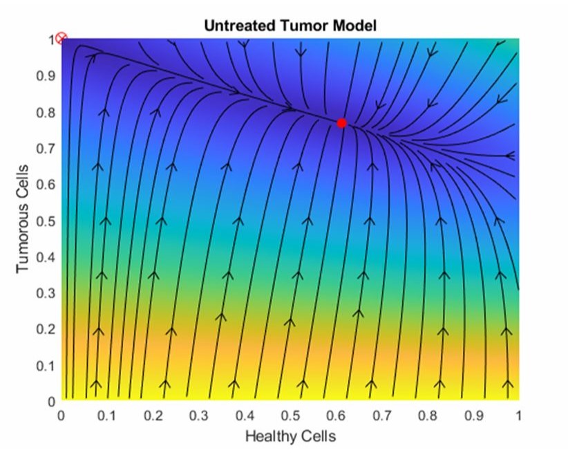 Untreated Model Fixed Points